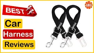 ✅  Best Dog Car Harness Amazon In 2023 🏆 Top 5 Tested & Buying Guide