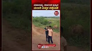 Viral video shows stark road contrast at Karnataka&ndash;Maharashtra border