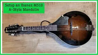 playing the mandolin: getting started