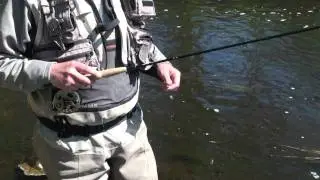 French Nymphing Explained.m2ts