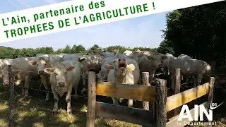 L'Ain, partenaire des trophées de l'agriculture 2018