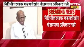 Sharad Pawar on Devendra Fadnavis | 