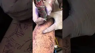 Tattoo of angry lion