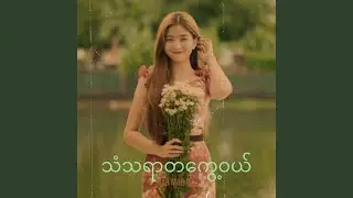 သံသရာတကွေ့ဝယ်