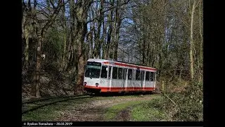 #86 Stra&szlig;enbahn Bochum - Linie 310 - BOGESTRA M6S, 30.03.2019