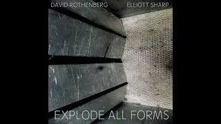 Elliott Sharp and David Rothenberg: Explode All Forms