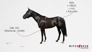 Dumebi by Lonhro