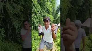 Village vlog Subu bro 