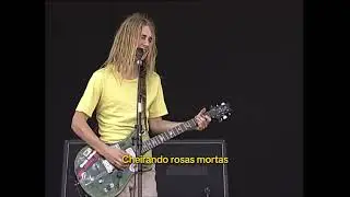 Silverchair    Roses