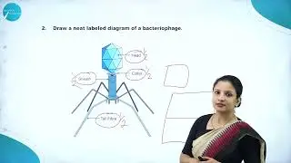 DAY 62 | BIOLOGY | I PUC | BIOLOGICAL CLASSIFICATION | REVISION | L2