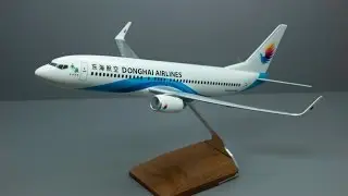 PacMin 1/100 scale Boeing 737-800 Donghai Airlines Desktop Model