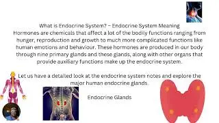 What is Endocrine System &ndash; Endocrine System Meaning Hormones are chemicals that affect a lot of the