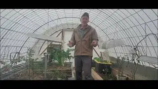 Paps Green House Garden