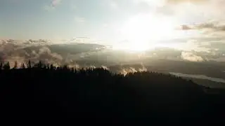Forest Sunrise Drone Video in 4K HD (No Copyright)