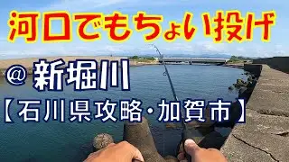 ちょい投げ開幕・河口でも＠新堀川【石川県攻略・加賀市】