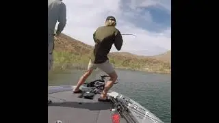Big Swimbaits for Big Bass