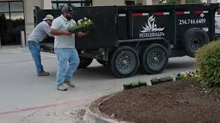 Best Time to Plant Flowers in Central Texas | Fitzgerald's Landscape Tips