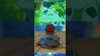 Bulbasaur IS a FROG!!! #pokemon