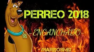 PURO PERREO 2018 - 🔥 Explota Tu Joda 🔥 - MARCOSMIX - EDICI&Oacute;N VERANO#18🌺