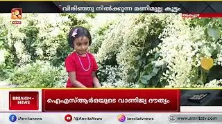 ഡിസംബറിലെ മണിമുല്ല പൂക്കൾ അലപ്പുഴയില്&zwj; വിസ്മയം സൃഷ്ടിക്കുന്നു | Alappuzha