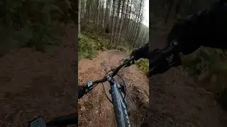 Cannock off pieste on the beers