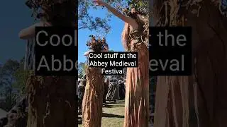 no. 1 reason to go to Brisbane is the Abbey Medieval Festival! #medieval #history #festival #travel