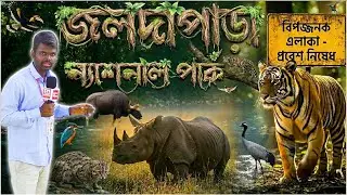 &ldquo;সভ্যতার বাইরে এক স্বর্গ | জলদাপাড়া ন্যাশনাল পার্ক | Wildlife of Bengal&rdquo;