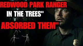 I'M A PARK RANGER IN THE REDWOOD FOREST. THE TALLEST TREES AREN'T EMPTY