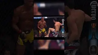 Edson Barboza vs Billy Quarantillo TKO #ufckansascity