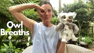 Owl Breaths