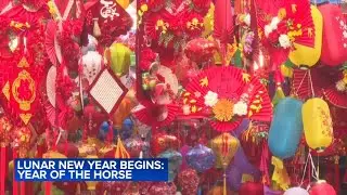 Lunar New Year: Galloping into the Year of the Fire Horse