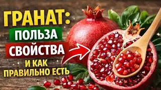 Гранат : польза, свойства и как правильно есть .