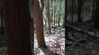 Elora conservation park Ontario
