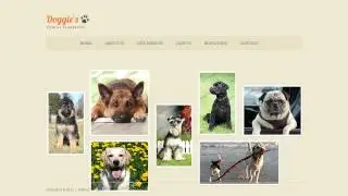 Animal Shelter Website Template