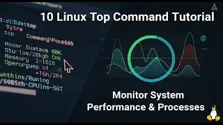 Linux Top Command Tutorial: Monitor System Performance & Processes
