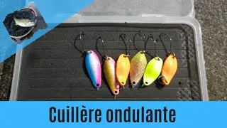 Trout time p&ecirc;che de la truite fario en rivi&egrave;re [ d&eacute;couverte cuill&egrave;re ondulante]