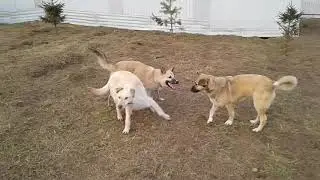20180416 175035