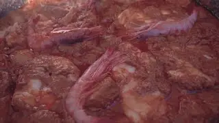 Peix i marisc fresc del Serrallo amb un romesco de lluç i rap amb gamba de Tarragona amb Enclaves 🦐