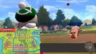 Pokemon Schwert/Schild: Wo man Schlaraffel fangen kann