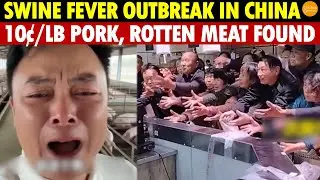 Major Crisis in China: Swine Fever Outbreak, Pork at 10&cent;/Lb, People Rush to Buy, Discover Stale Meat