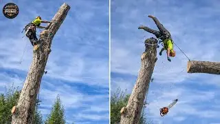 Idiots With Chainsaws: Tree Cutting Fails | Extreme Dangerous Logging Truck Fails #31