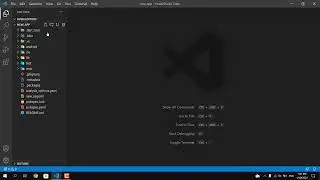 How to Create new project in FLUTTER and run it on google chrome