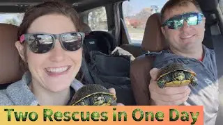 TWO RESCUES...ONE WILL BREAK YOUR HEART
