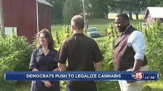 Supporters of full legalization of cannabis optimistic about bill proposal