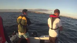 Fishing Station -  Micro jigging small Samsonfish