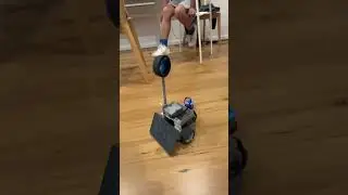 Students build mini VEX battle bots #vexrobotics #robotics #battlebots @vexrobotics