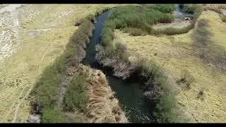 BISHOP CA