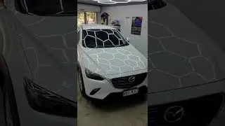 #windowtinting #detailing #automobile #premiumcardetailing #paintprotection #paintcorrection