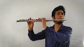 Hey Jude - Flute Cover /// The Beatles 😎