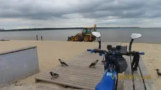 SUR-RON X - Штромка - осы любители чая.21.08.2023